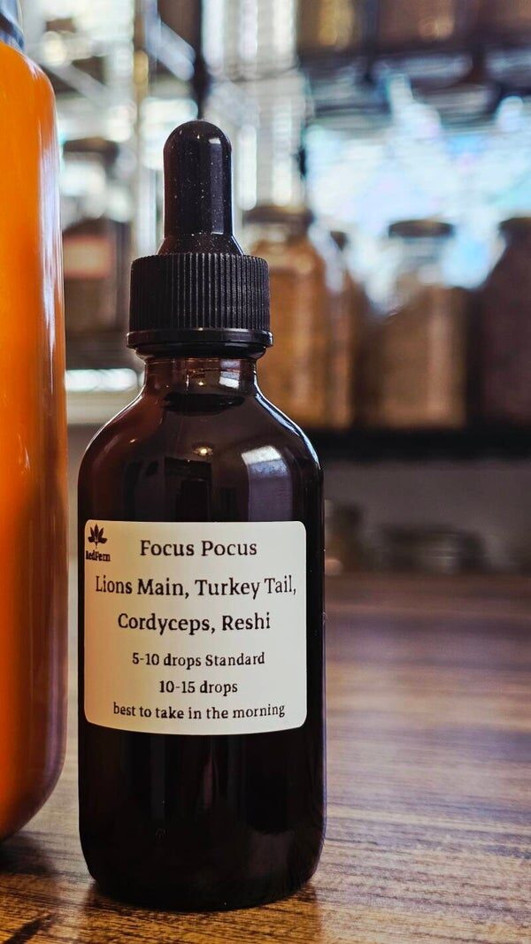 Focus Pocus — handmade functional mushroom extract by RedFern